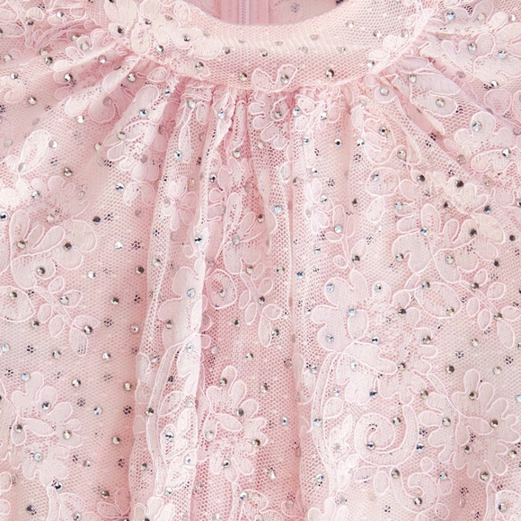 Self-Portrait Pale Pink Rhinestone Lace Maxi Dress - Picture 5 of 6